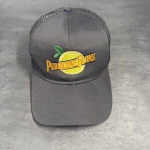 Perricone Farms Juice Snapback Hat Gray‎ Mesh Trucker Cap Citrus Chore Lemonade